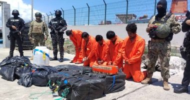 Fuerzas Armadas capturan droga y arrestan a 11 en Ecuador – La Voz del Altiplano