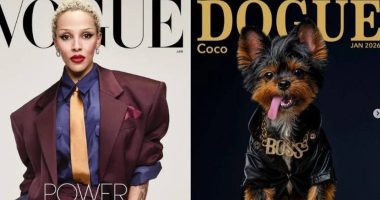 Disputa Legal en el Mundo de la Moda Canina – La Voz del Altiplano