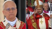 El papa León aboga por la paz en la Misa de Domingo de Ramos – La Voz del Altiplano