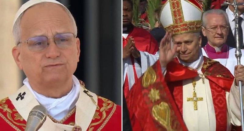 El papa León aboga por la paz en la Misa de Domingo de Ramos – La Voz del Altiplano