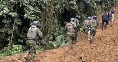 Colombia anuncia despliegue militar en frontera con Ecuador – La Voz del Altiplano