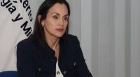 Inés Manzano suspende trabajos en distribuidoras – La Voz del Altiplano