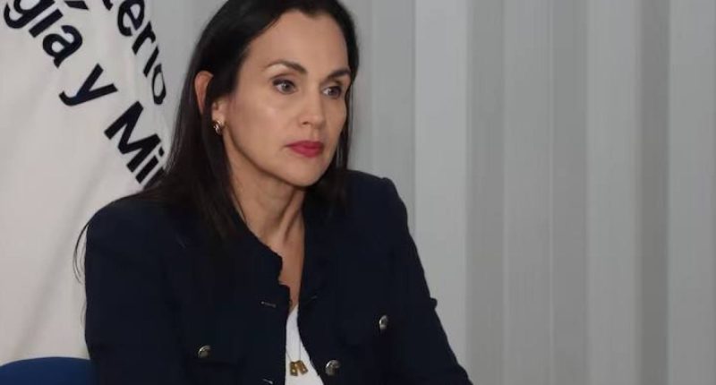 Inés Manzano suspende trabajos en distribuidoras – La Voz del Altiplano