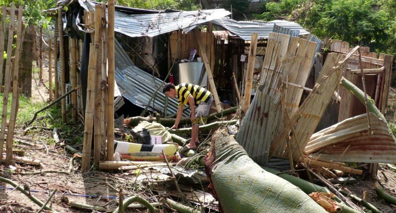 padre relata cómo un ceibo dañó su vivienda – La Voz del Altiplano