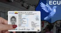 Ecuador añade holograma en cédula para combatir – La Voz del Altiplano