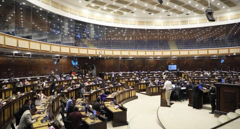 Ley de Empleo Joven no Ratificada por Objeción del Ejecutivo – La Voz del Altiplano