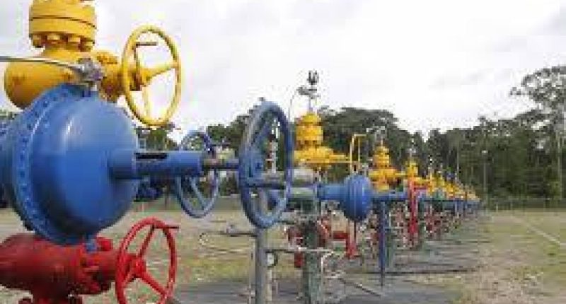 Marco Flores: Propuesta para reorientar ingresos petroleros – La Voz del Altiplano