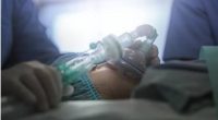 Genética y Complicaciones Neurológicas Post anestesia – La Voz del Altiplano