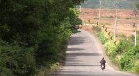 Crecimiento de maleza en parterre de la vía Guayabal La Pila genera alertas por seguridad vial – La Voz del Altiplano