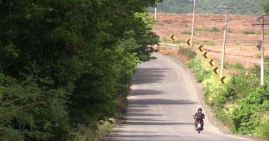 Crecimiento de maleza en parterre de la vía Guayabal La Pila genera alertas por seguridad vial – La Voz del Altiplano
