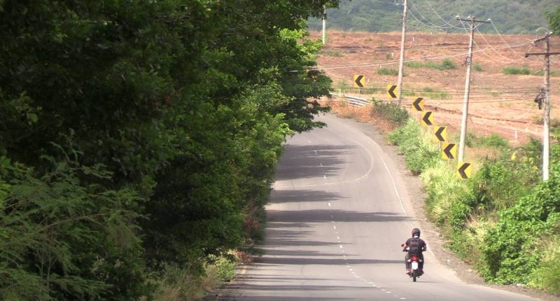 Crecimiento de maleza en parterre de la vía Guayabal La Pila genera alertas por seguridad vial – La Voz del Altiplano