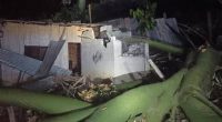 Caída de árbol de ceibo en Portoviejo deja cinco heridos – La Voz del Altiplano