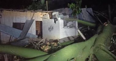 Caída de árbol de ceibo en Portoviejo deja cinco heridos – La Voz del Altiplano