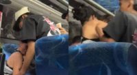 Niño fallece al asomarse por ventana de un bus – La Voz del Altiplano
