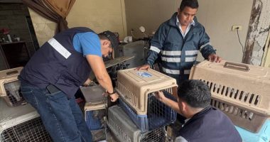 Cierran veterinario ilegal en Vergeles, Guayaquil – La Voz del Altiplano