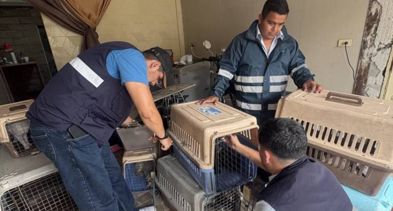Cierran veterinario ilegal en Vergeles, Guayaquil – La Voz del Altiplano