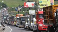 Decisiones del gobierno de Ecuador: impacto y alcance – La Voz del Altiplano