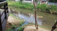 Seis meses de plazo para estudio de contaminación del río – La Voz del Altiplano