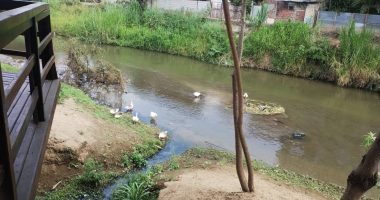 Seis meses de plazo para estudio de contaminación del río – La Voz del Altiplano