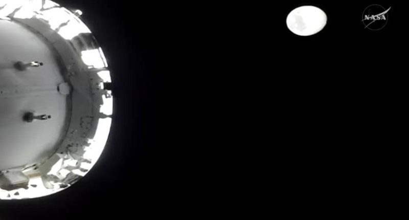 Astronautas de Artemis II: histórico vuelo lunar – La Voz del Altiplano