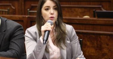 Juez pide levantar inmunidad a Mónica Palacios – La Voz del Altiplano