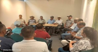 Impacto de la sequía en cultivos de maíz en Manabí – La Voz del Altiplano