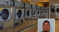 ICE arresta ecuatoriano por secuestro de menor en Nueva York – La Voz del Altiplano