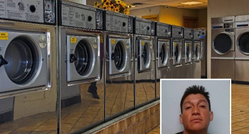 ICE arresta ecuatoriano por secuestro de menor en Nueva York – La Voz del Altiplano