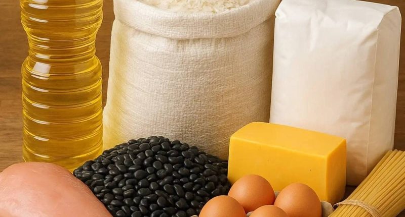 Canasta básica familiar en marzo 2026 sube a USD 829,38 – La Voz del Altiplano