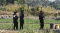 Triple crimen en zona rural de Puebloviejo causa conmoción – La Voz del Altiplano