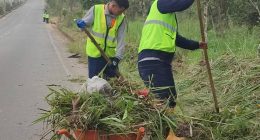 Regulación de limpieza de frentes en Santo Domingo – La Voz del Altiplano