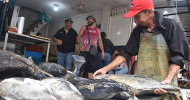 En Santo Domingo se vende buen pescado y marisco – La Voz del Altiplano