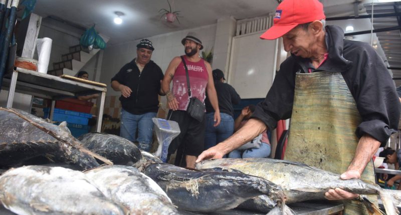 En Santo Domingo se vende buen pescado y marisco – La Voz del Altiplano