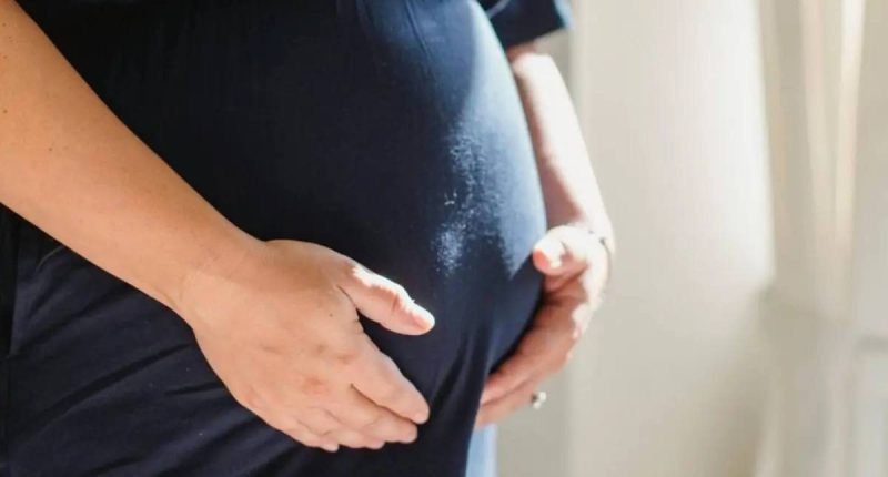 Cómo combatir el embarazo juvenil: estrategias efectivas – La Voz del Altiplano