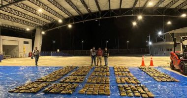 Ecuatoriano detenido en Perú con más de 500 kg de marihuana – La Voz del Altiplano
