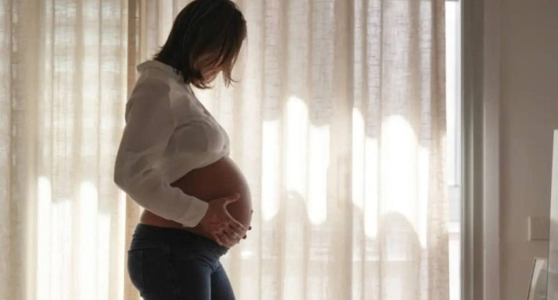 mayoría ocurre en unión libre y madres solteras – La Voz del Altiplano