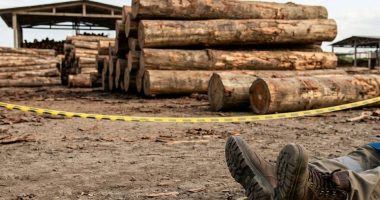 Trabajador fallece tras caída de trozas de balsa – La Voz del Altiplano