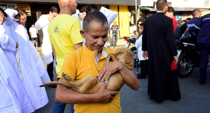 Caminó todo el viacrucis con su perro enfermo en brazos – La Voz del Altiplano