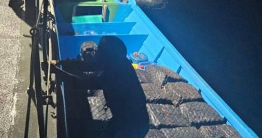 Detienen a dos tras decomisar 1.5 toneladas de droga – La Voz del Altiplano