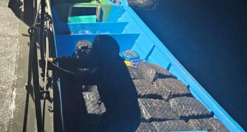 Detienen a dos tras decomisar 1.5 toneladas de droga – La Voz del Altiplano