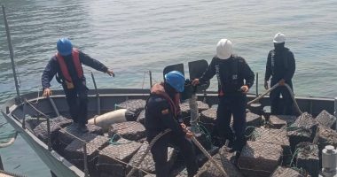 Seis Toneladas de Droga Incautadas en Operaciones Marítimas – La Voz del Altiplano