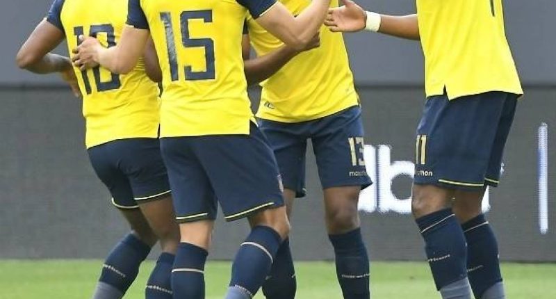 Jugadores al borde del Mundial – La Voz del Altiplano