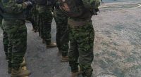más de 100 detenidos en operativos nocturnos por toque de queda – La Voz del Altiplano