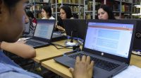 Sectores Clave para la Economía – La Voz del Altiplano