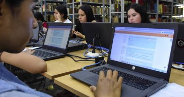 Sectores Clave para la Economía – La Voz del Altiplano