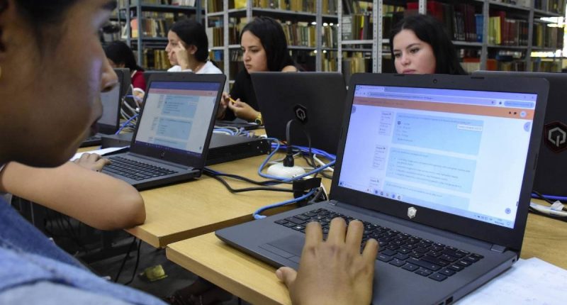 Sectores Clave para la Economía – La Voz del Altiplano