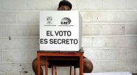 Recursos y acciones ante el TCE por elecciones seccionales – La Voz del Altiplano