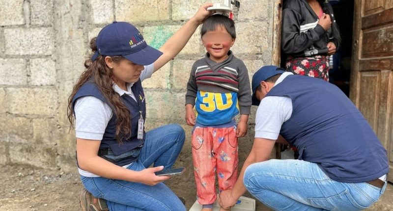 Así está la desnutrición infantil en Ecuador, según cifras – La Voz del Altiplano