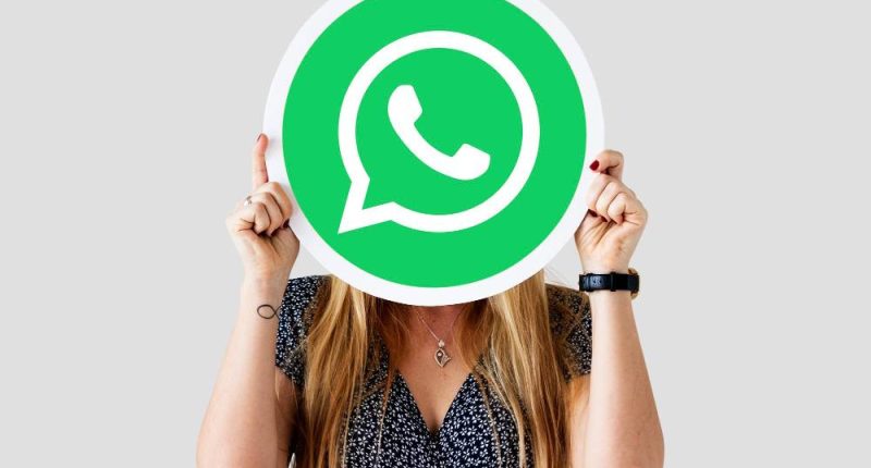 WhatsApp prueba nombres de usuario para proteger privacidad – La Voz del Altiplano