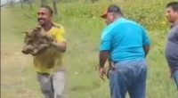 Tortuga en video podría incriminar a volqueteros Guayaquil – La Voz del Altiplano
